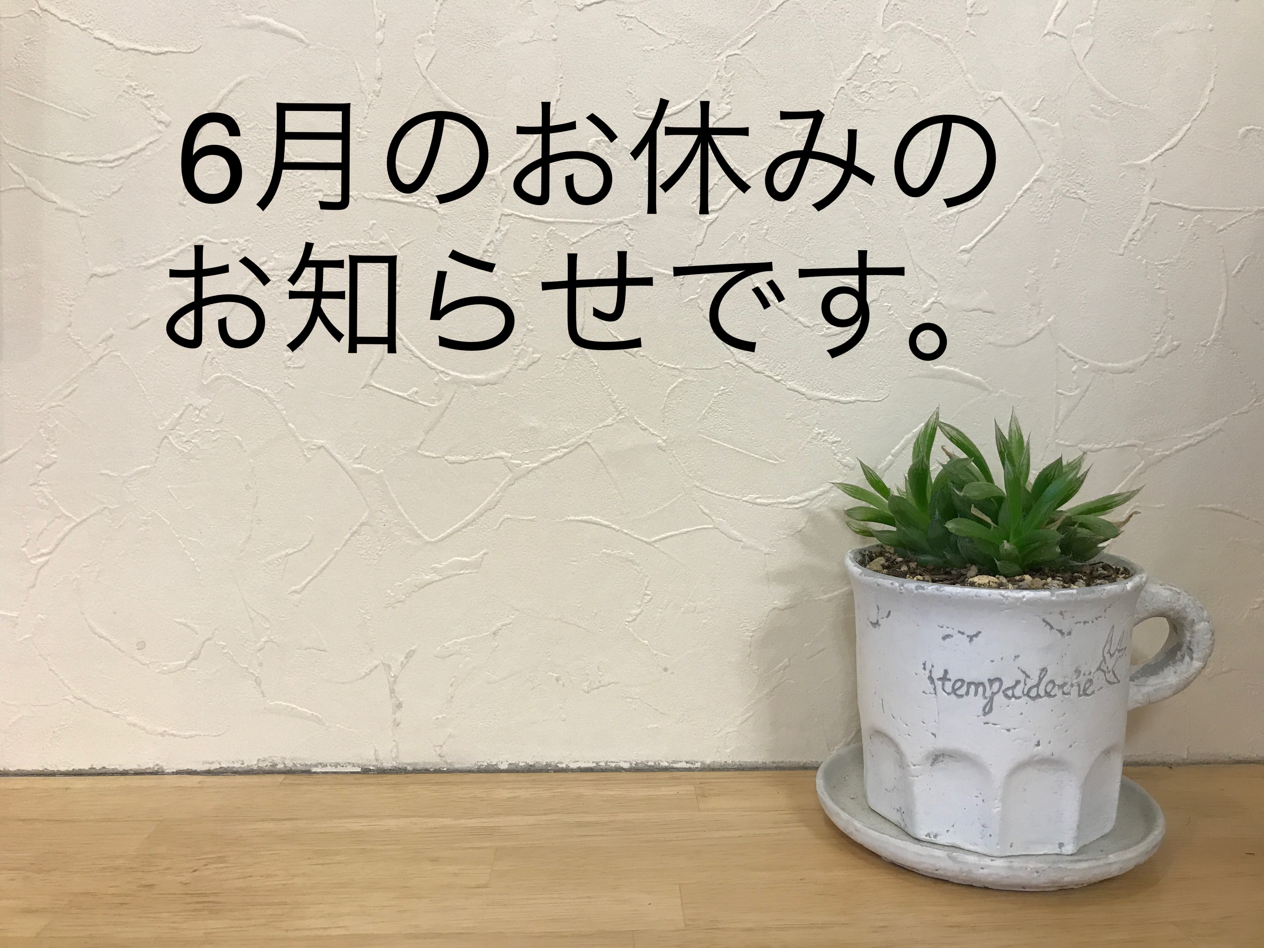 尾張旭美容室untree   ６月のお休みのお知らせ